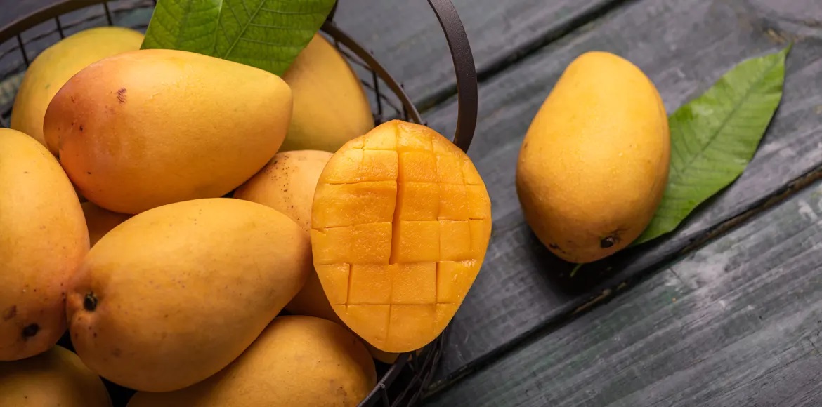 10 Health Benefits of Mango ! Mango Export quality mange available with best prices .most popular varity are langra, chaunsa safaid chaunsa azeem chaunsa sindhri dasheri Pakistani mangoes are internationally famous for their sweetness, juiciness, nutrition and unique flavor.