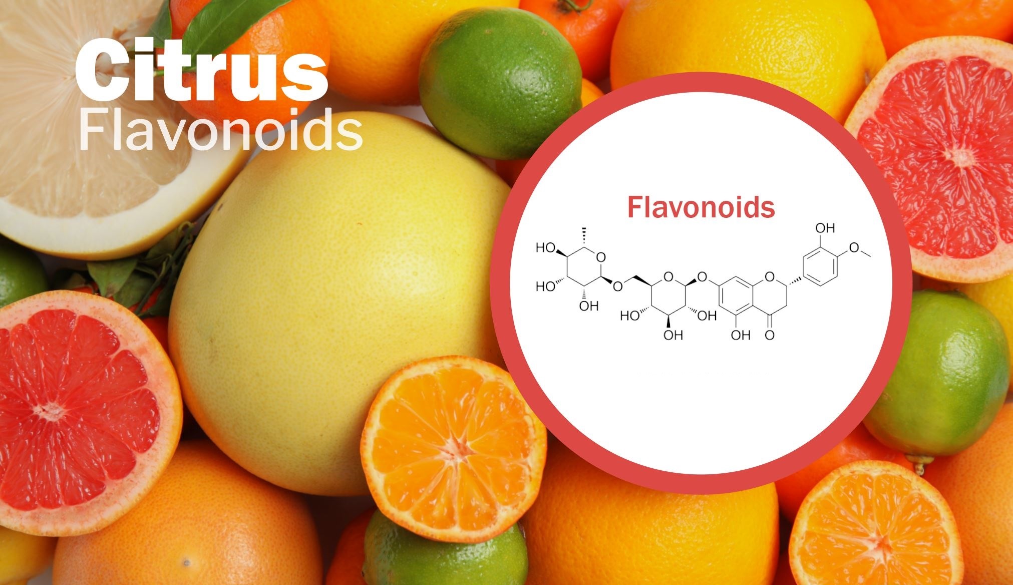 Minerals in Citrus Fruit for Health-2023, Bilal Enterprises Kinnow Mandarin Exporter from Pakistan 