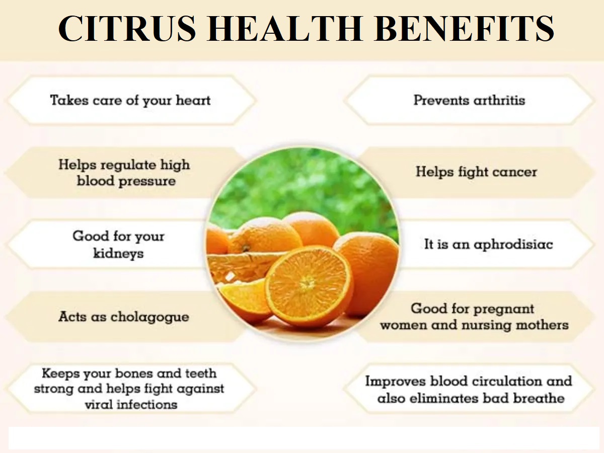 Citrus 7 Health Benefits, Bilal Enterprises Kinnow Mandarin Exporter from Pakistan