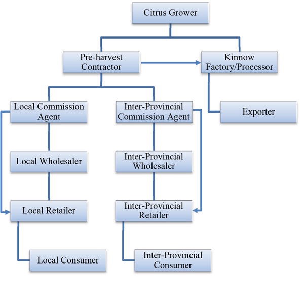 KINNOW VALUE CHAINS IN PAKISTAN