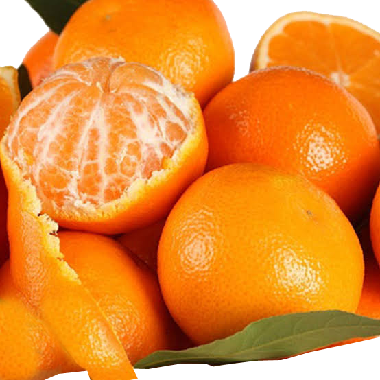 Kinnow Mandarin Exporter Bilal Enterprises  from Sargodha Pakistan 