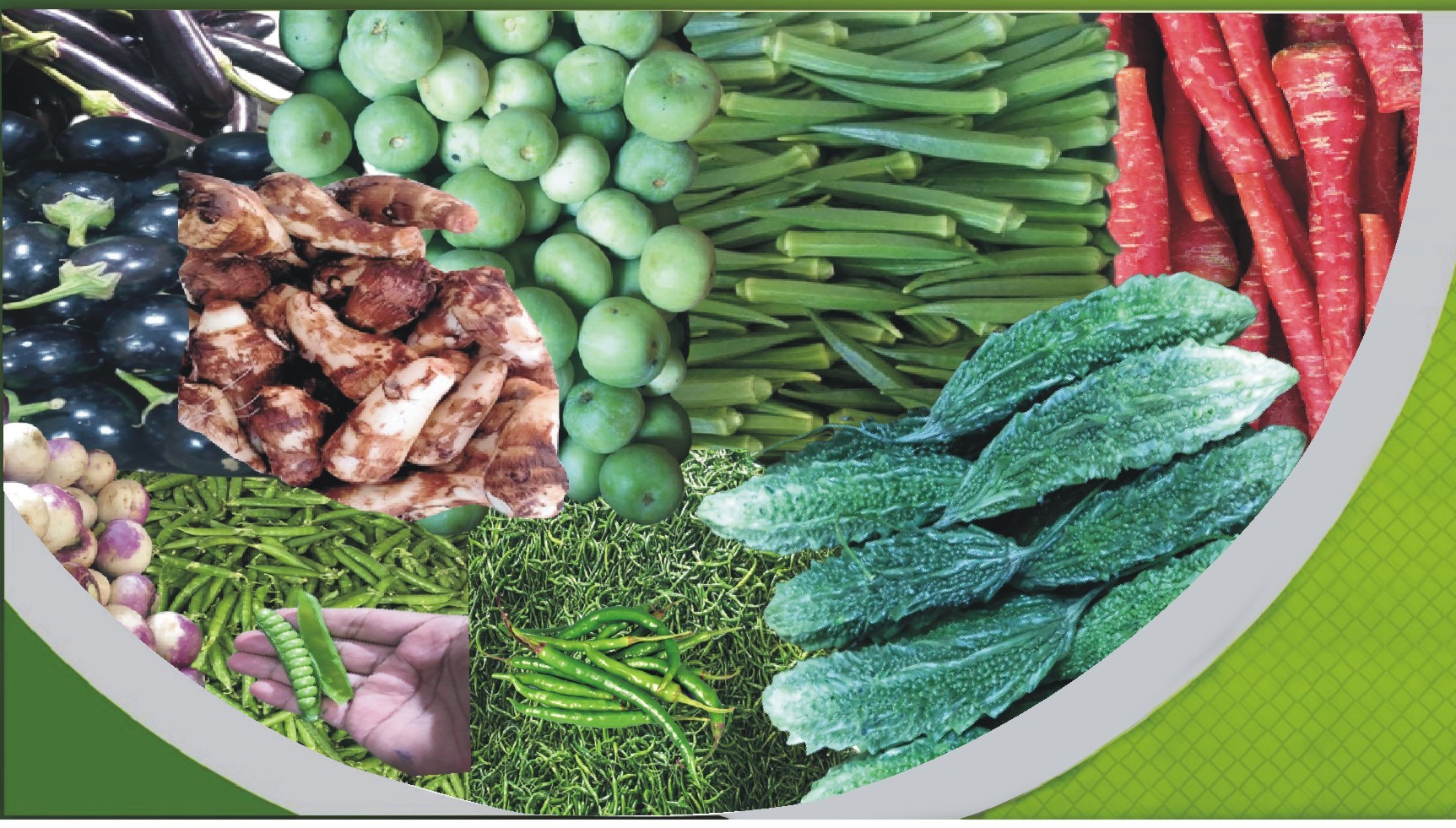 Fresh Vegetables Best Quality from Pakistan