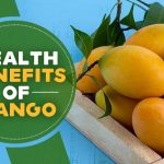 10 Health Benefits of Mango ! Mango Export quality mange available with best prices .most popular varity are langra, chaunsa safaid chaunsa azeem chaunsa sindhri dasheri Pakistani mangoes are internationally famous for their sweetness, juiciness, nutrition and unique flavor.