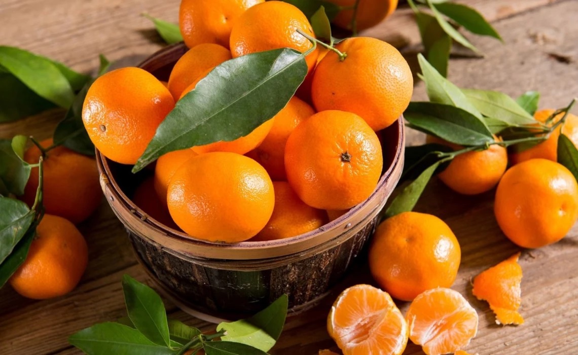 Mandarin Kinnow Export from Pakistan 2024