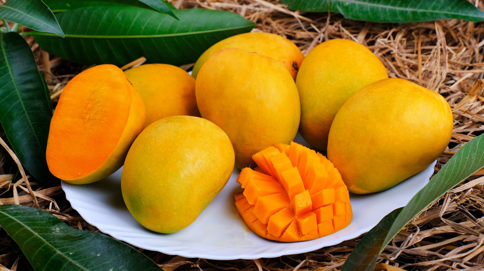 MANGO SEASON 2024 IN PAKISTAN